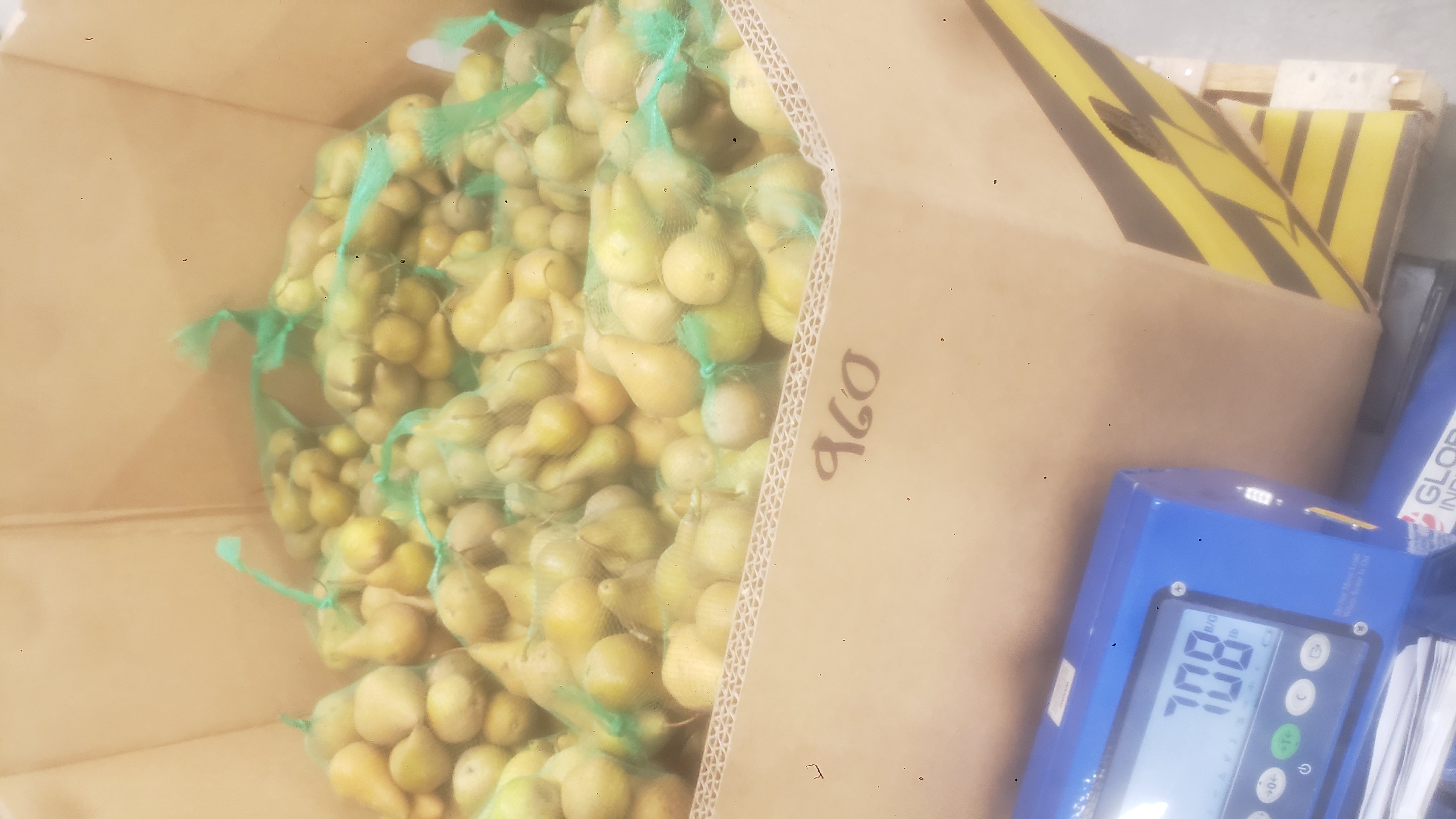 Bags of pears in a cardboard container on a weighted pallet jack that reads as 708.
